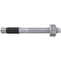 Ankerbolzen FAZ II 12/100